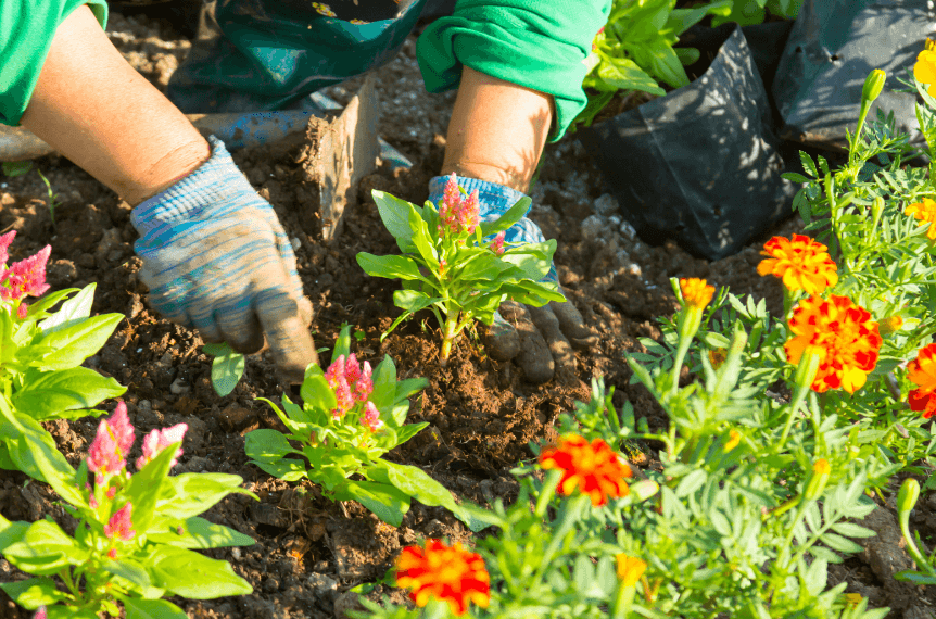 Spring Safety Hazards and How to Avoid Them