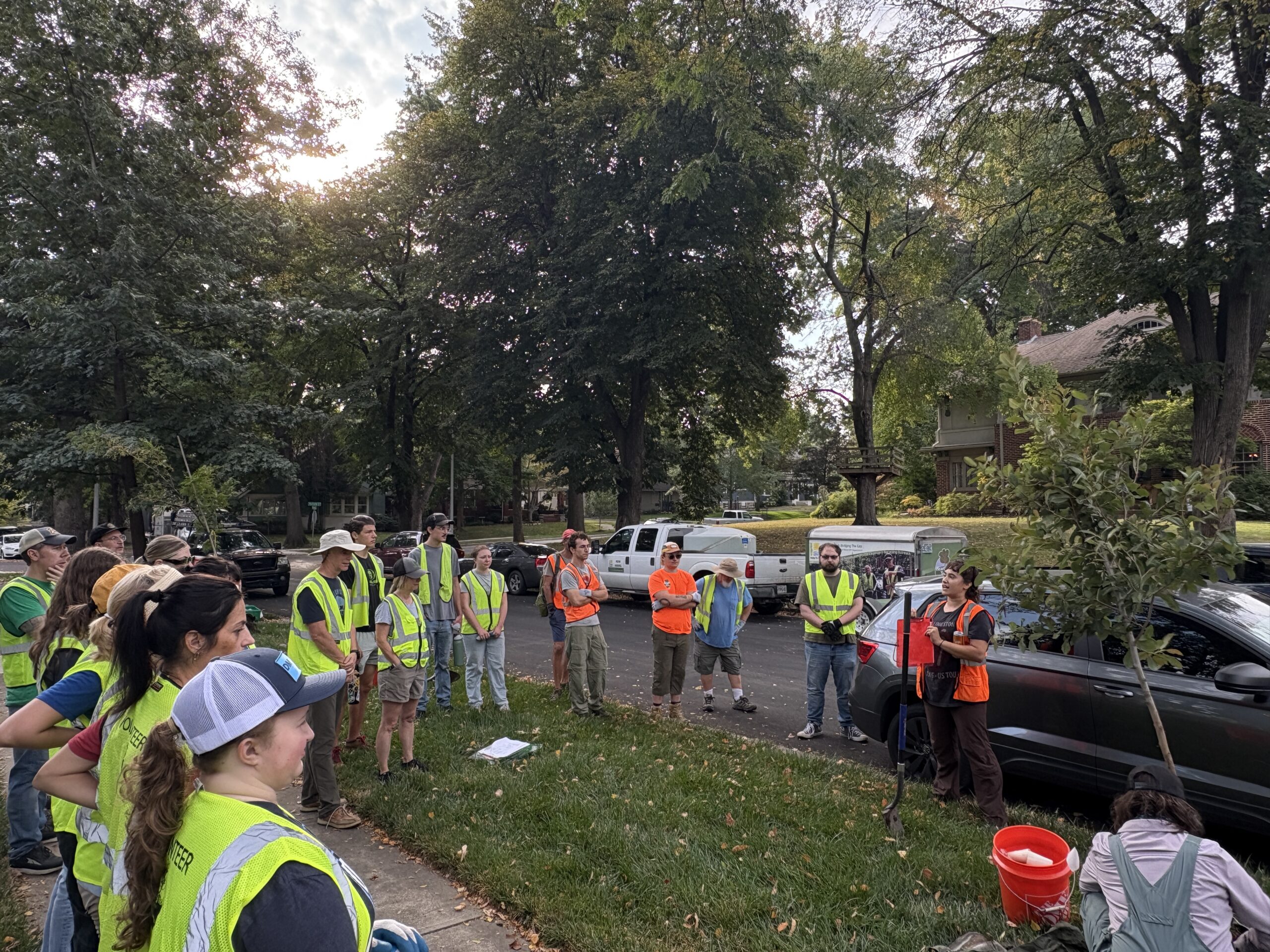 People planting a tree in KC
