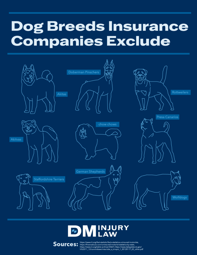A graphic showing several dog breeds that insurance companies commonly exclude, including Akitas, Dobermans, Rottweilers, Chow Chows, Presa Canarios, Staffordshire Terriers, German Shepherds, and Wolfdogs.