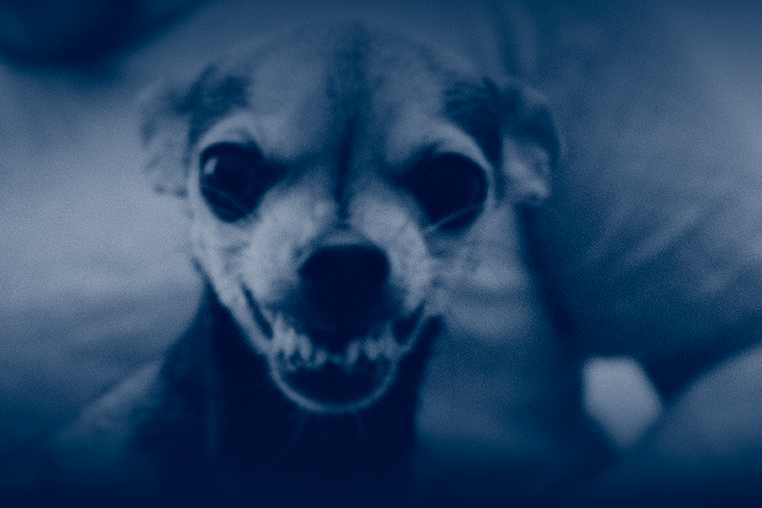 Dog bite liability in Oklahoma