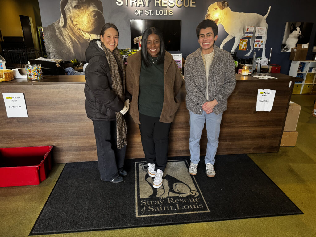 DM Law employees walking dogs in STL